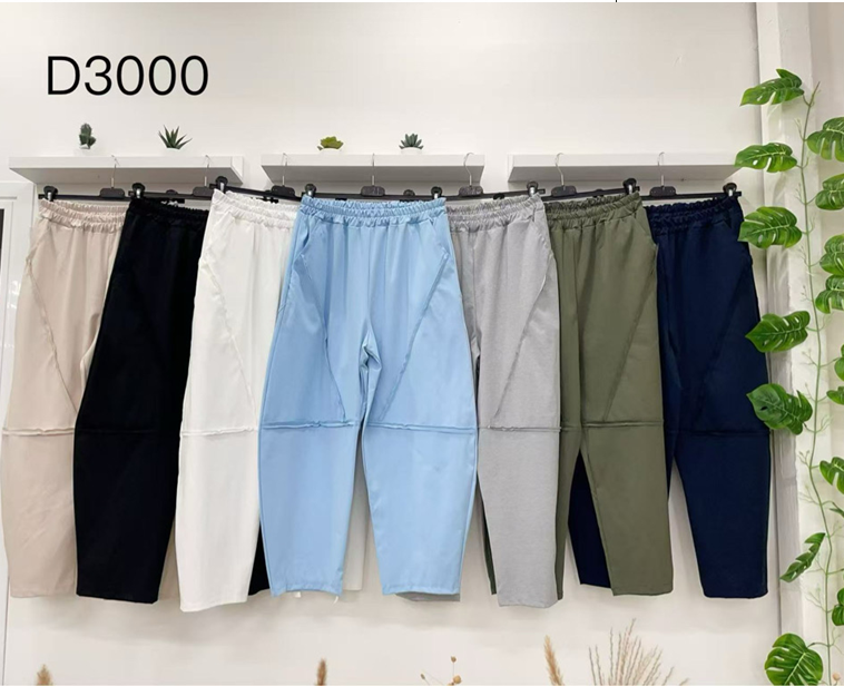 D3000