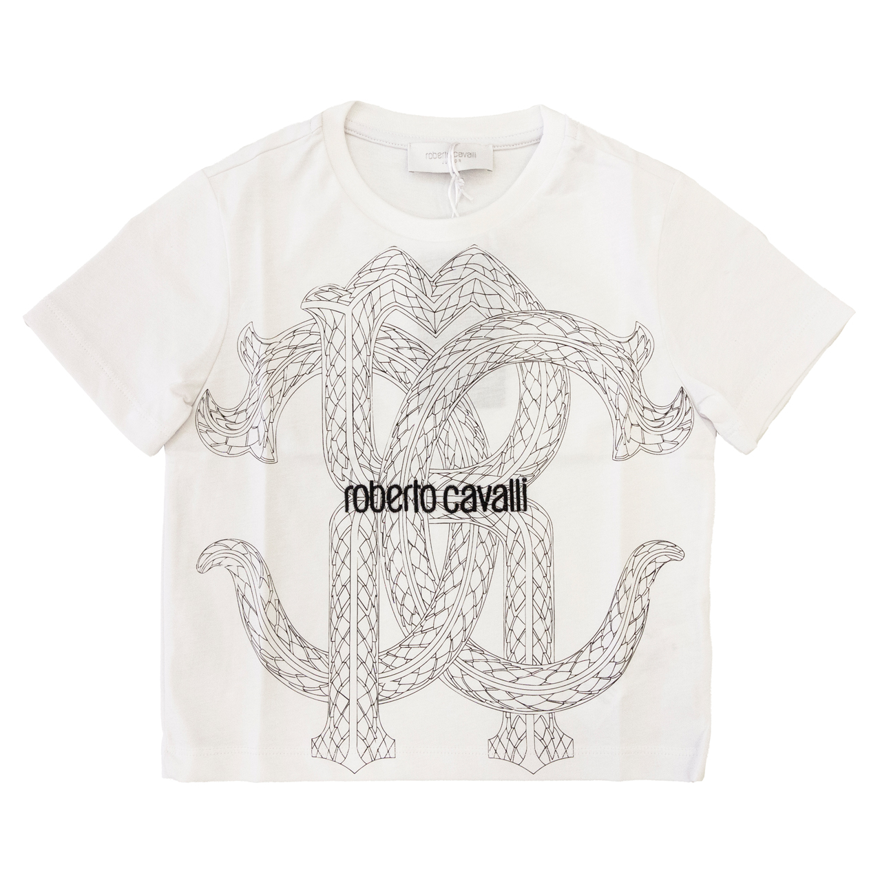 ROBERTO CAVALLI CBA26065TS