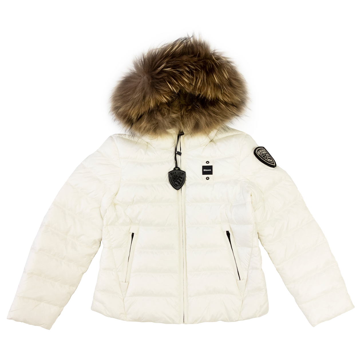 BLAUER 26WBLGC02293