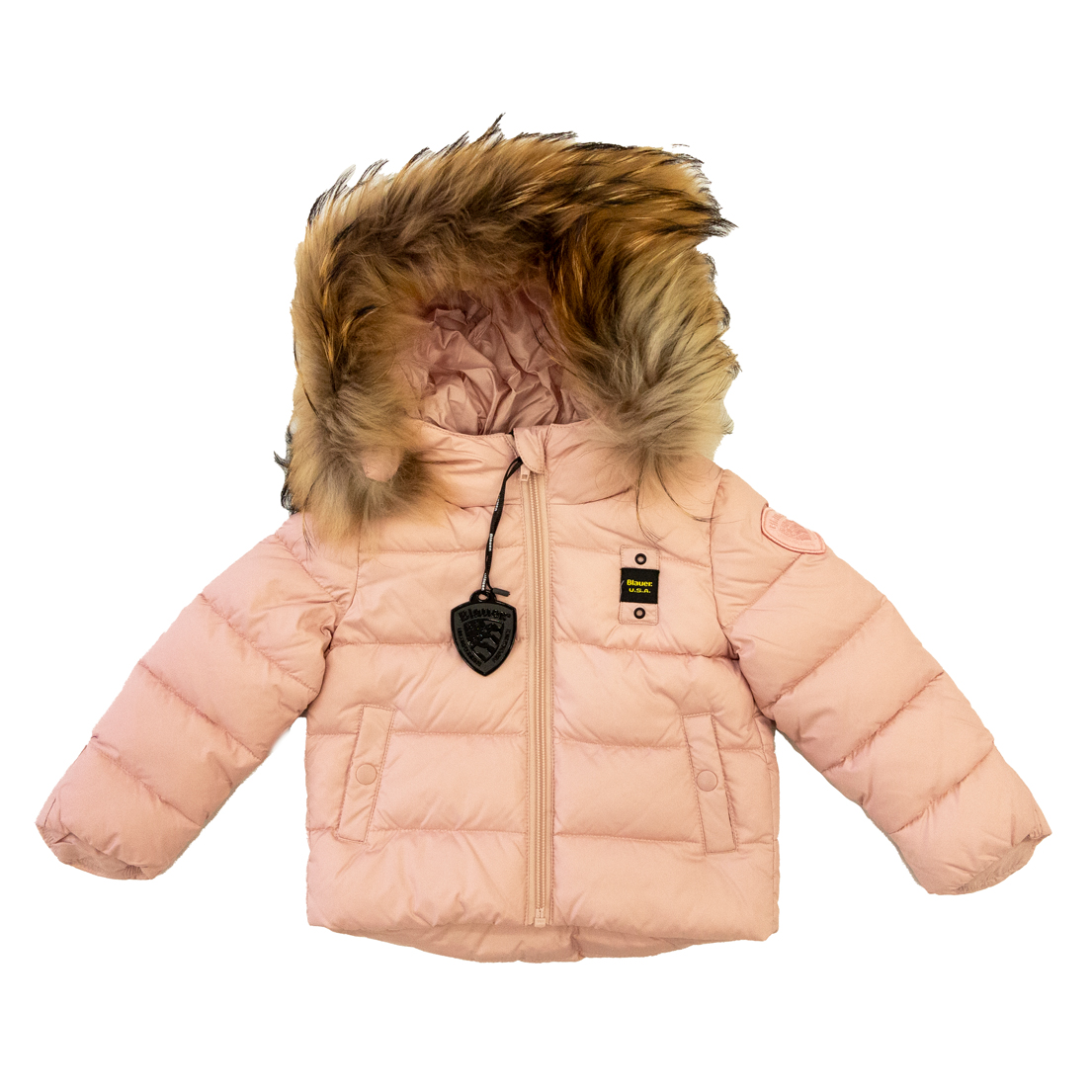 BLAUER 24WBBXC02550
