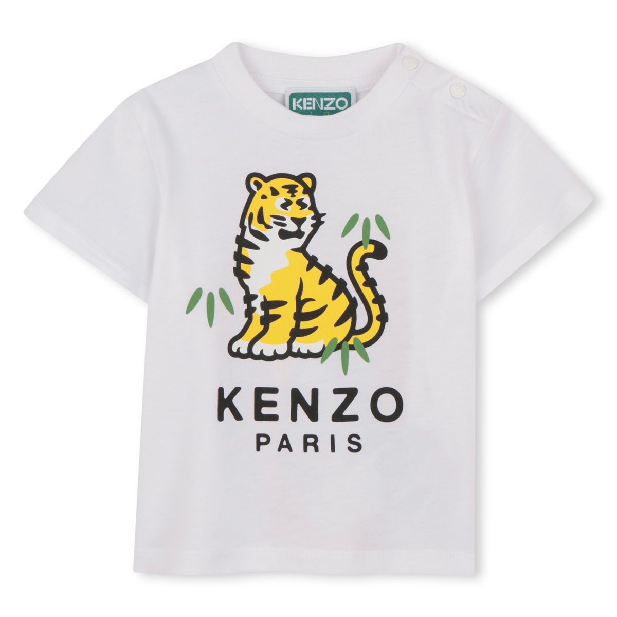 KENZO K61866