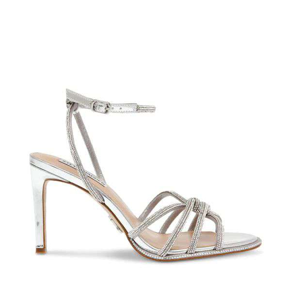 STEVE MADDEN SMSKAILYN