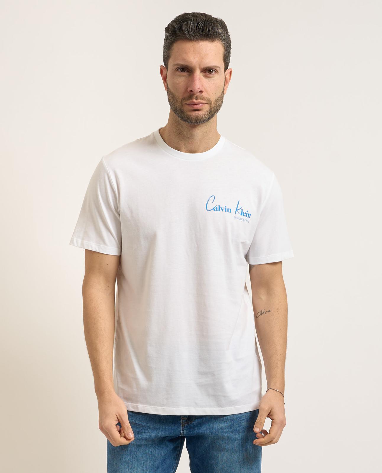 CALVIN KLEIN T-SHIRT UOMO   - LV14RF802G
