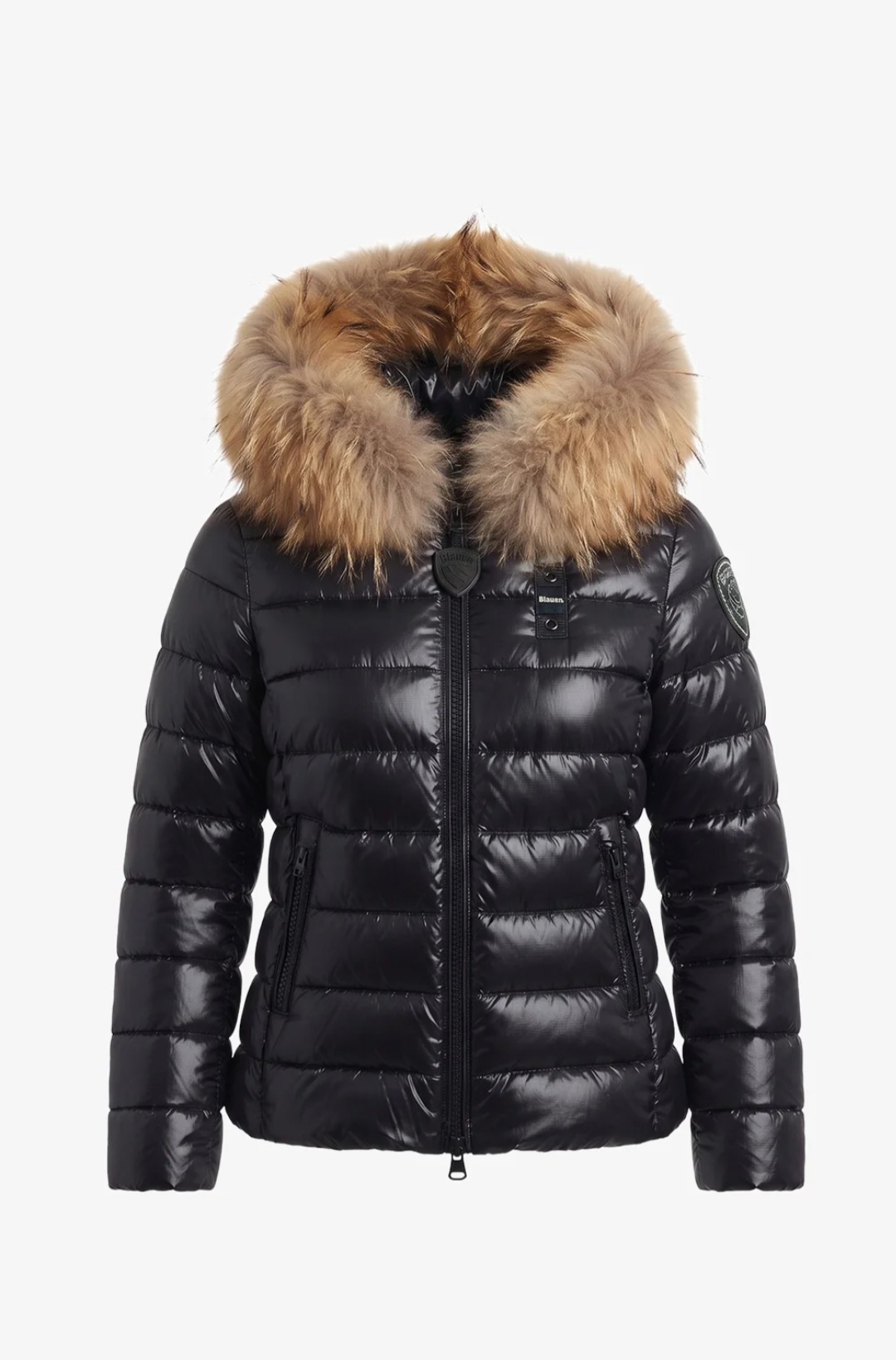 BLAUER 26WBLGC02293-006648