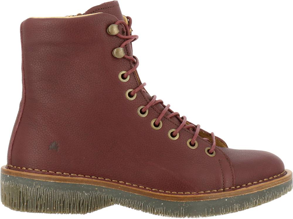 el naturalista N5572