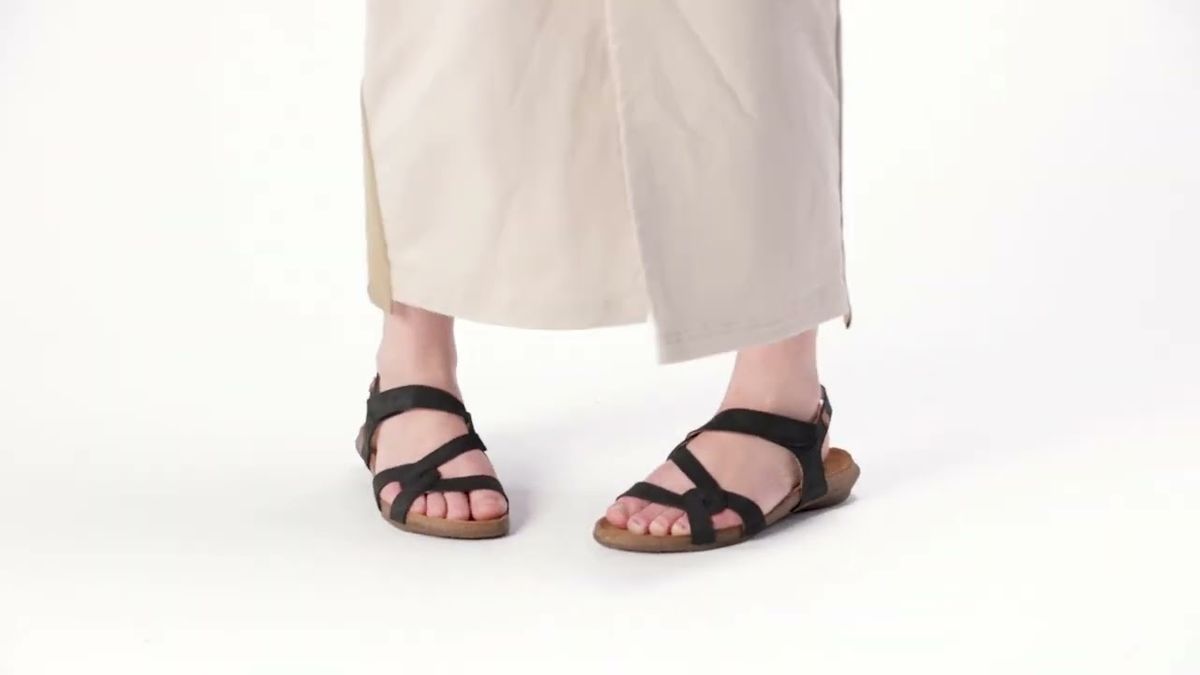 el naturalista N5079