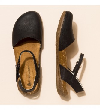 el naturalista n412 wakataua