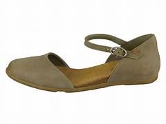 el naturalista ND54 Stella