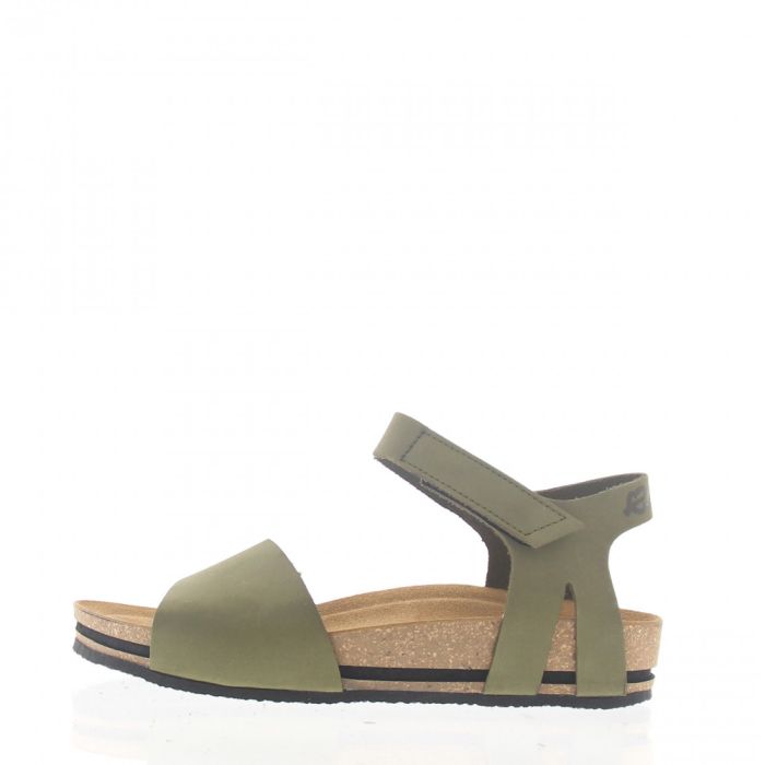 loints of holland jonen