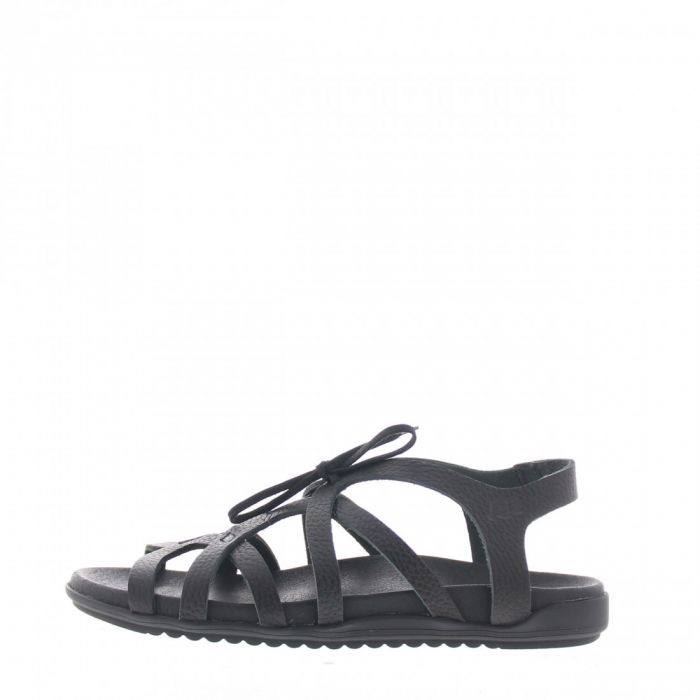 loints of holland 659800349