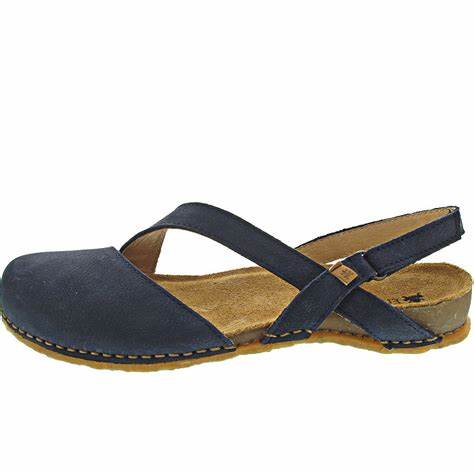 el naturalista n5813T path ocean