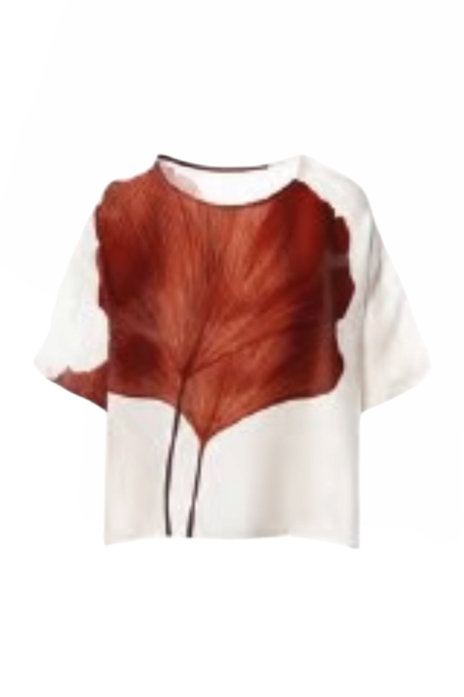 ANONYME CAMICIA Donna | A76SB087