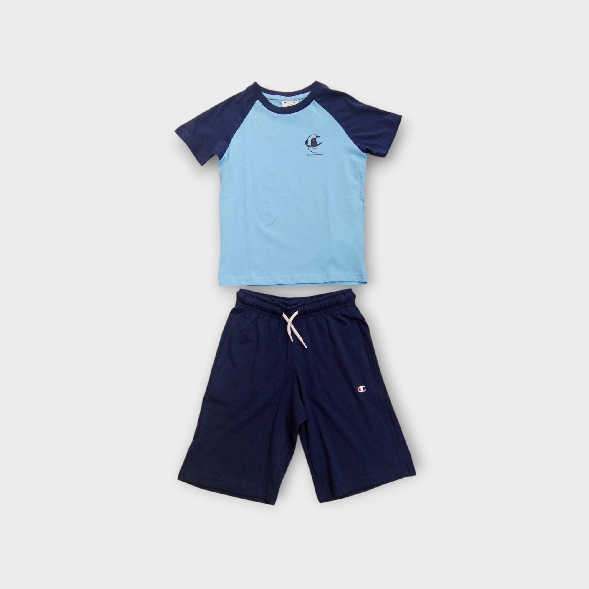 CHAMPION 307557