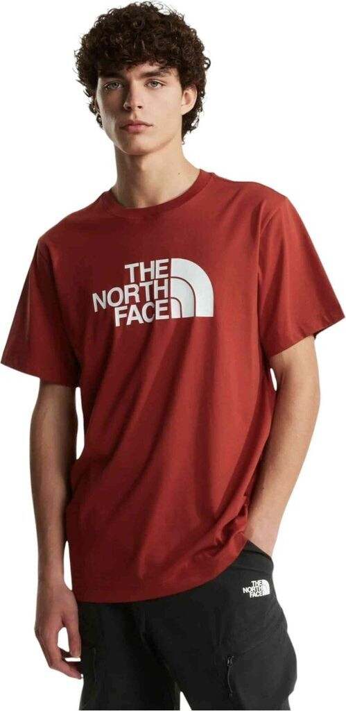 THE NORTH FACE NF0A8B6J