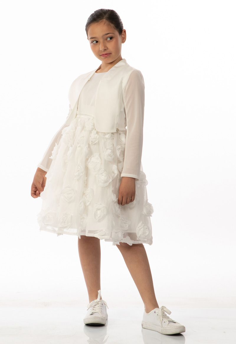 ALICE PI S24-2917