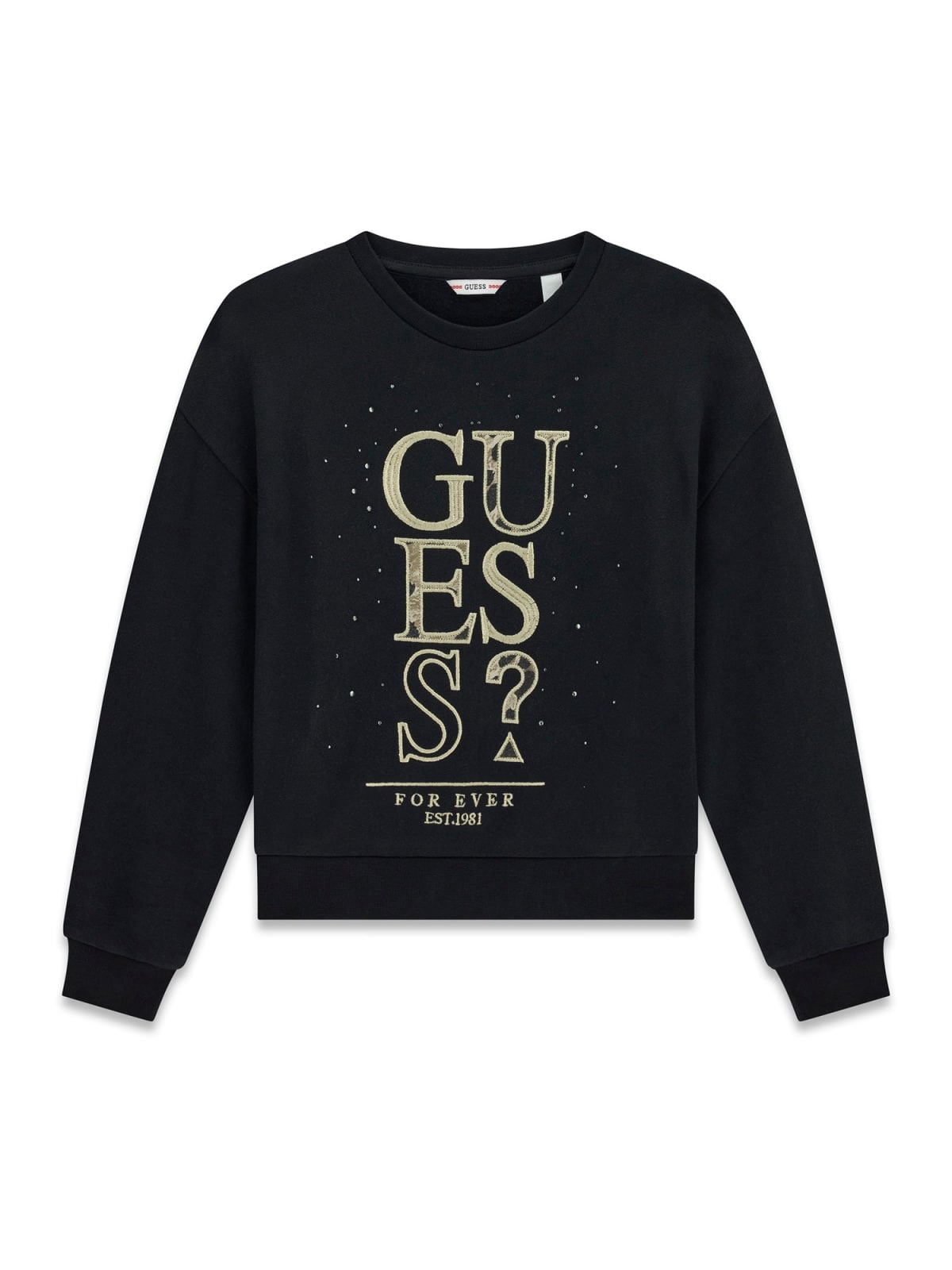 GUESS J6BQ07