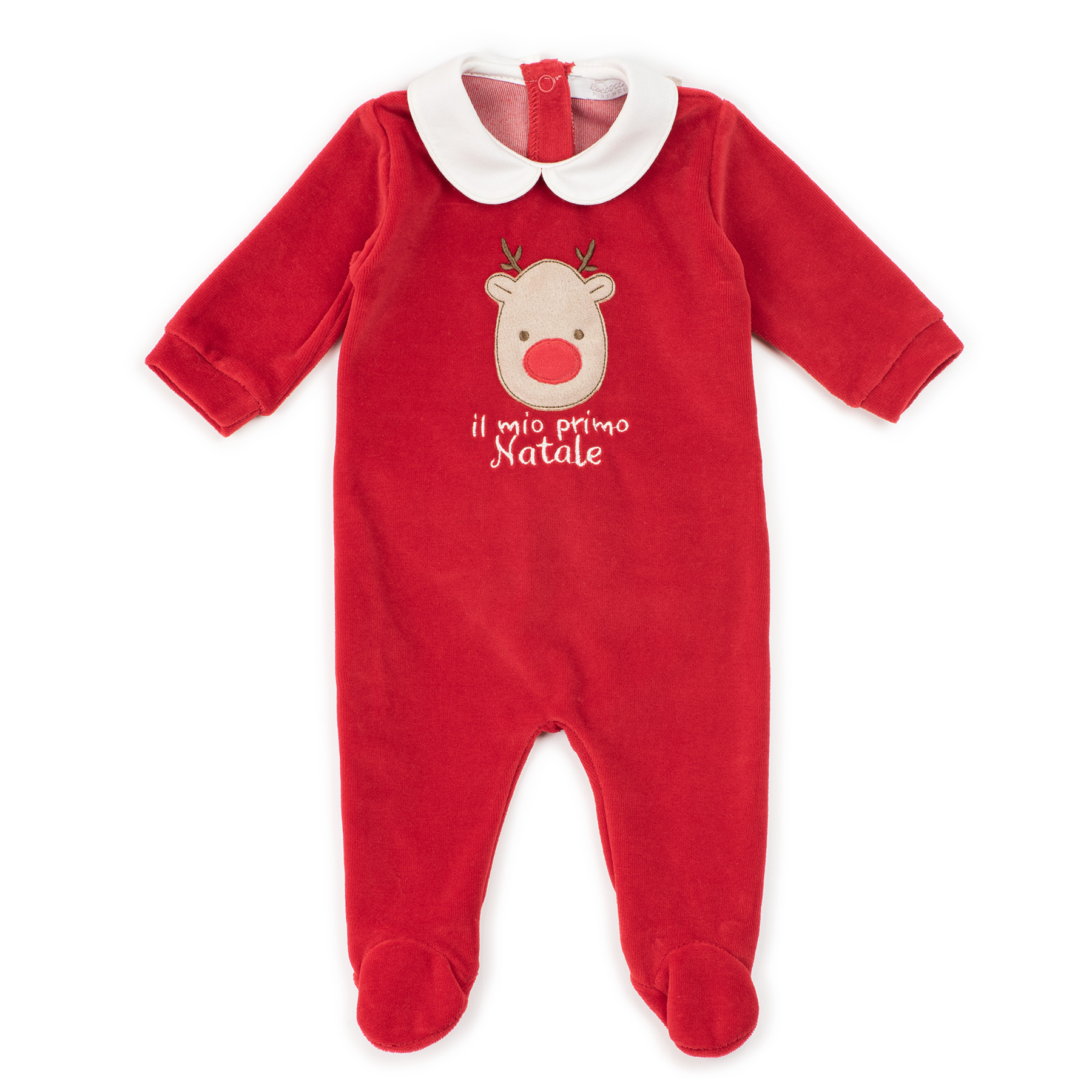 COCCODE' C58900
