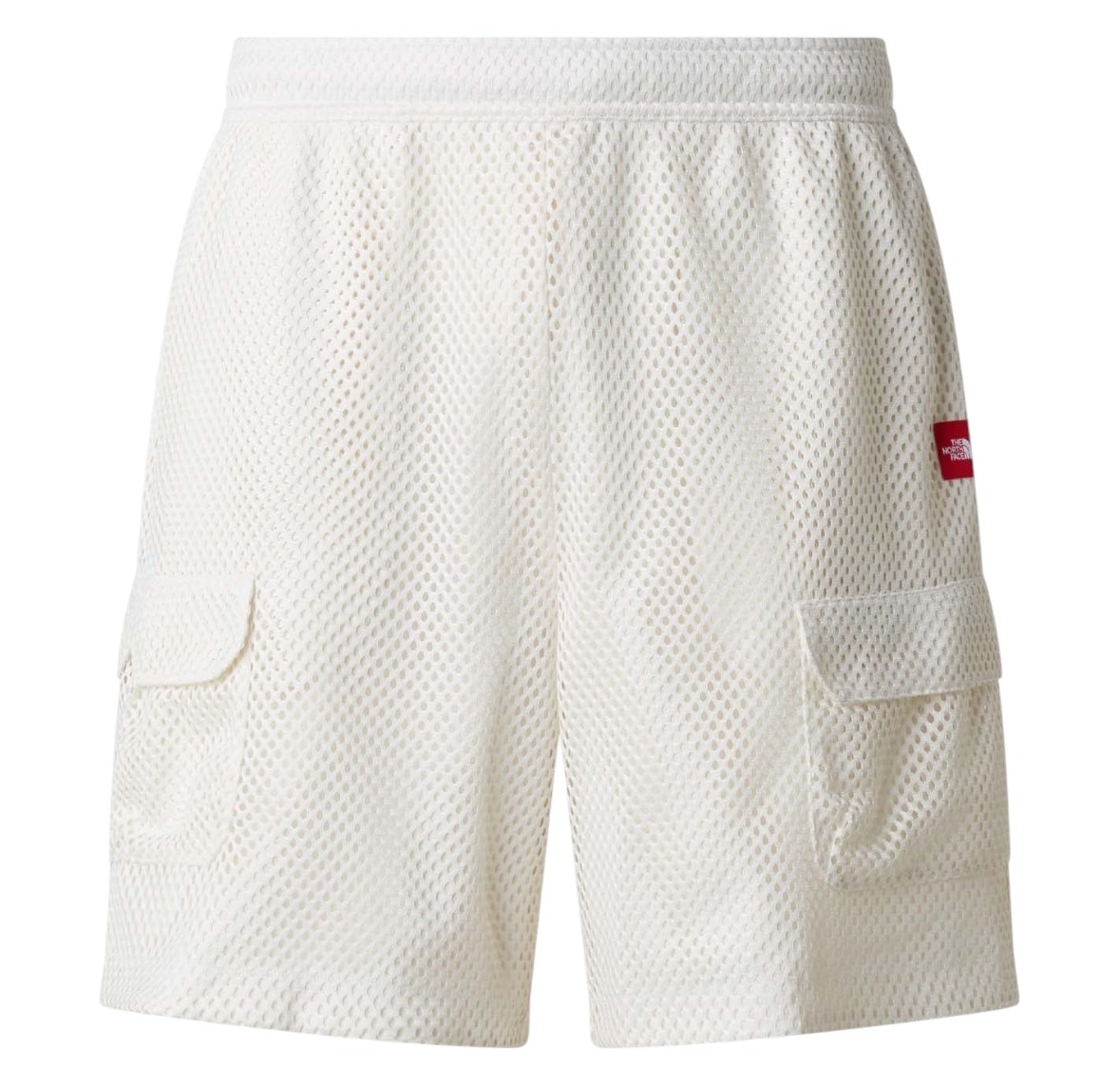 THE NORTH FACE SHORTS