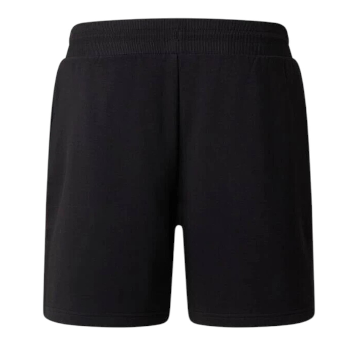THE NORTH FACE SHORTS