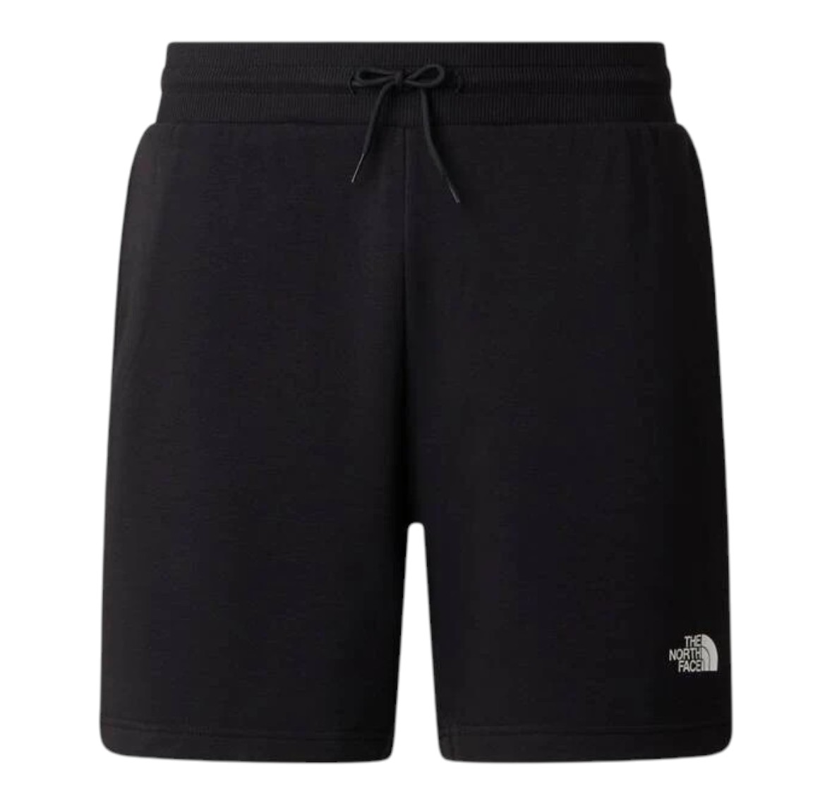 THE NORTH FACE SHORTS