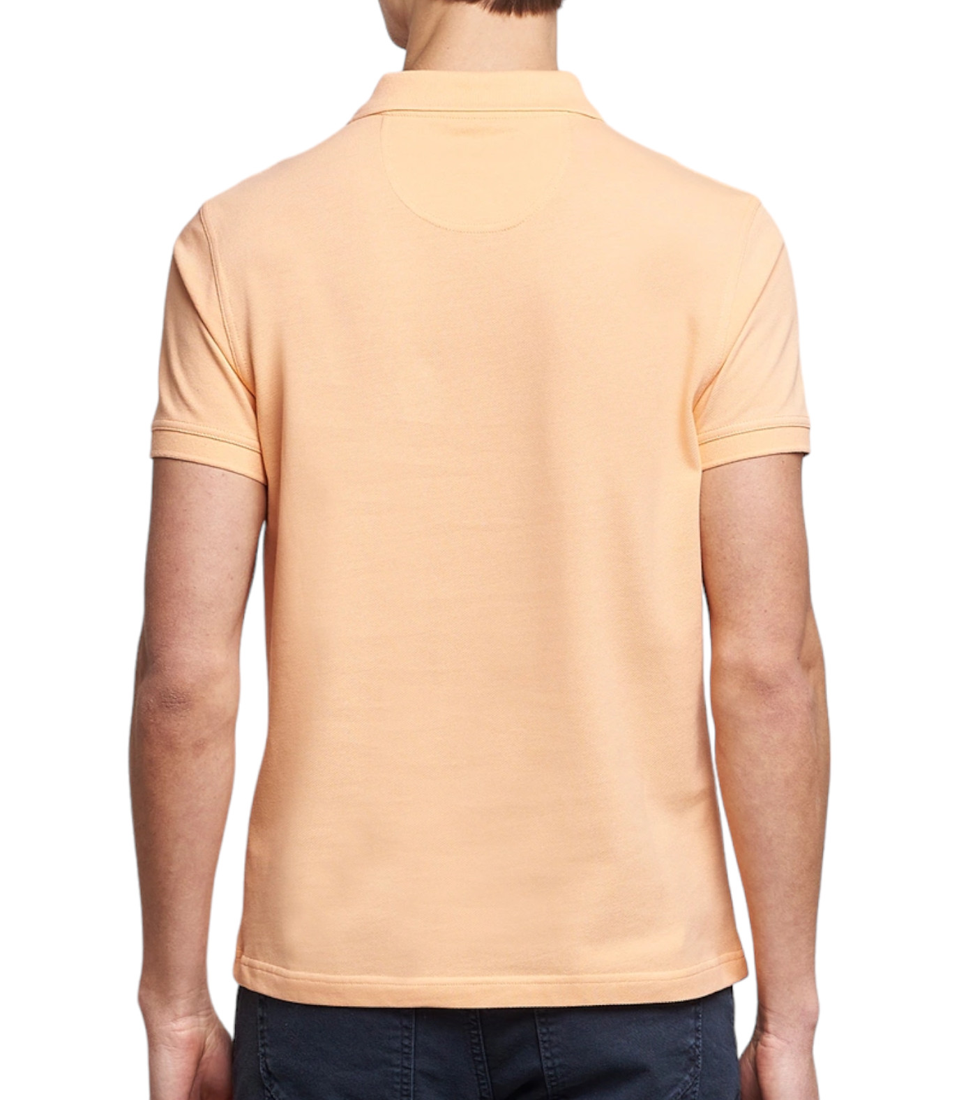 BARBOUR POLO