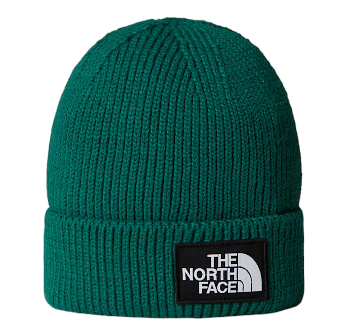 THE NORTH FACE BEANIE