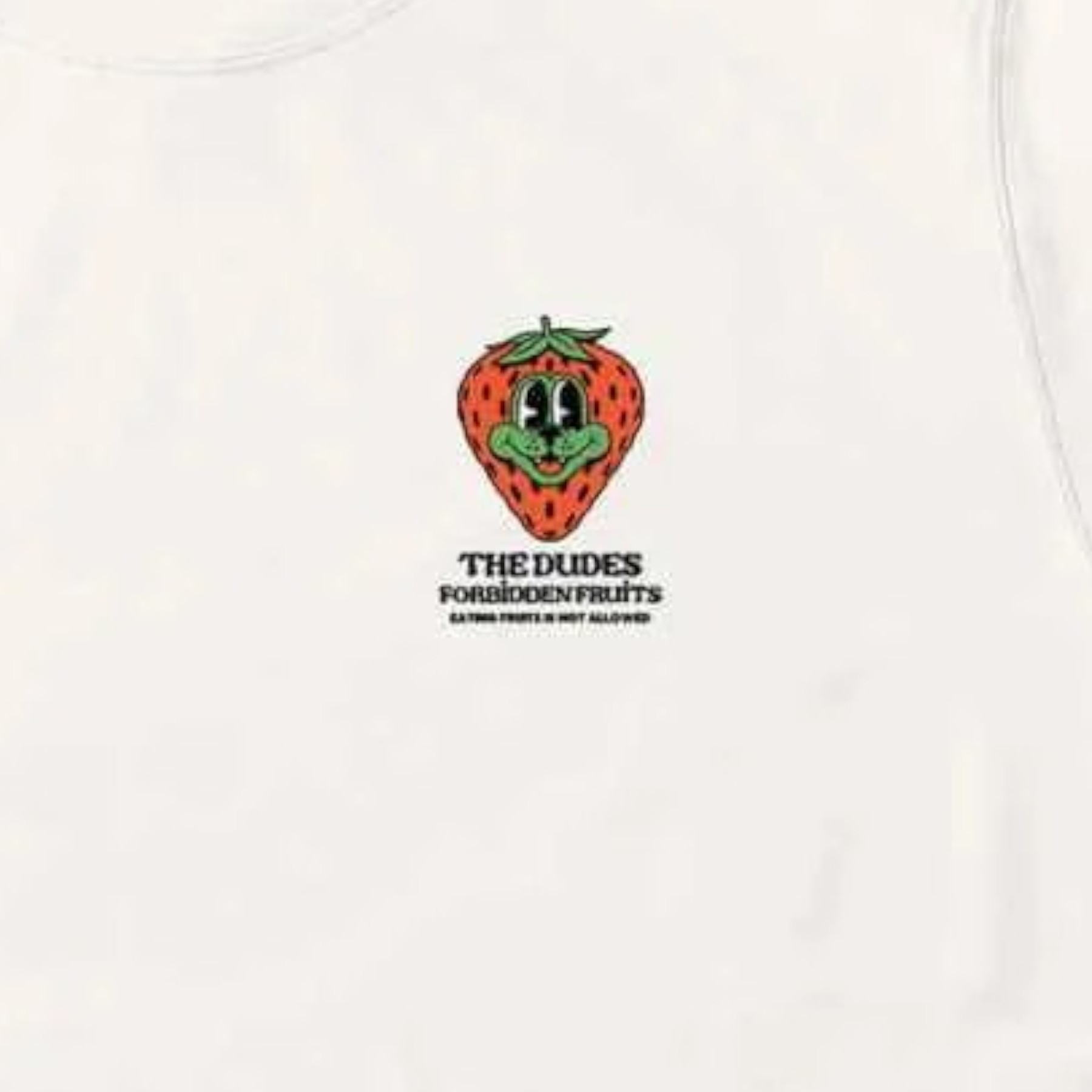 THE DUDES T-SHIRT