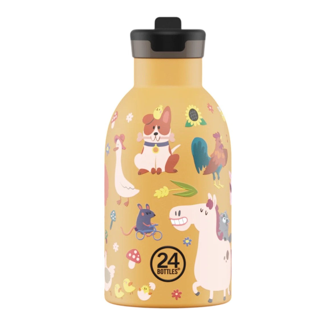 24 BOTTLES BORRACCIA BAMBINO/BAMBINA