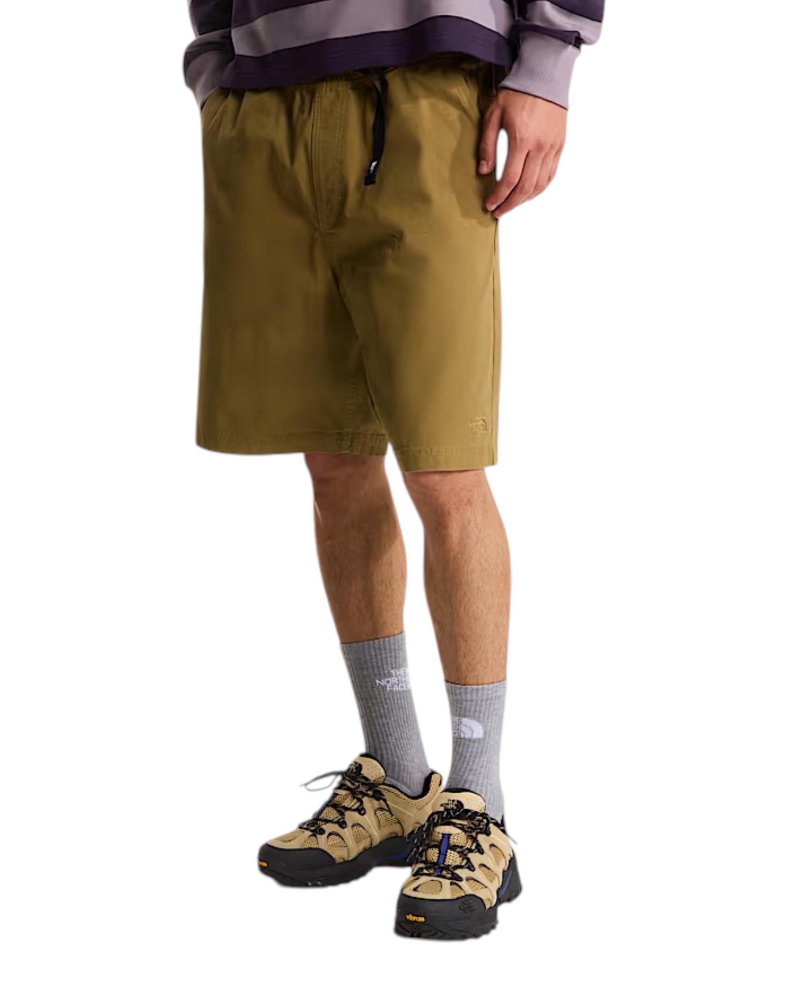 THE NORTH FACE SHORTS