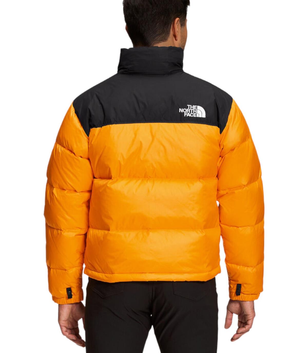 THE NORTH FACE JACKET Uomo