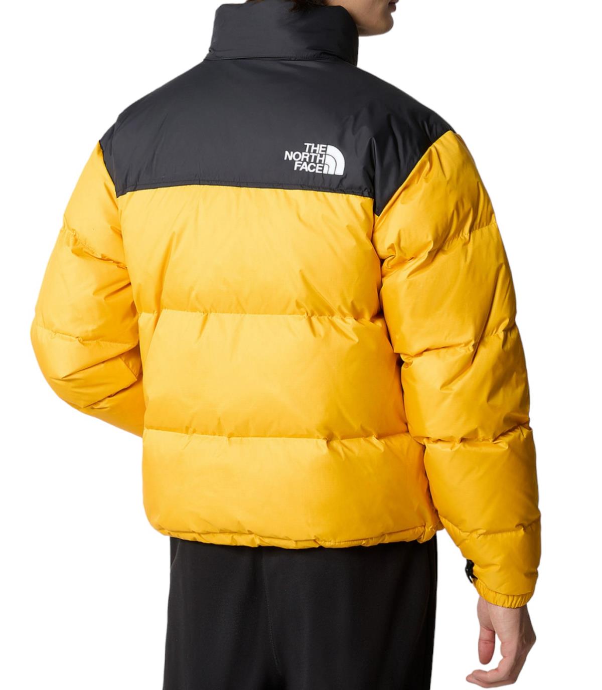 THE NORTH FACE JACKET Uomo