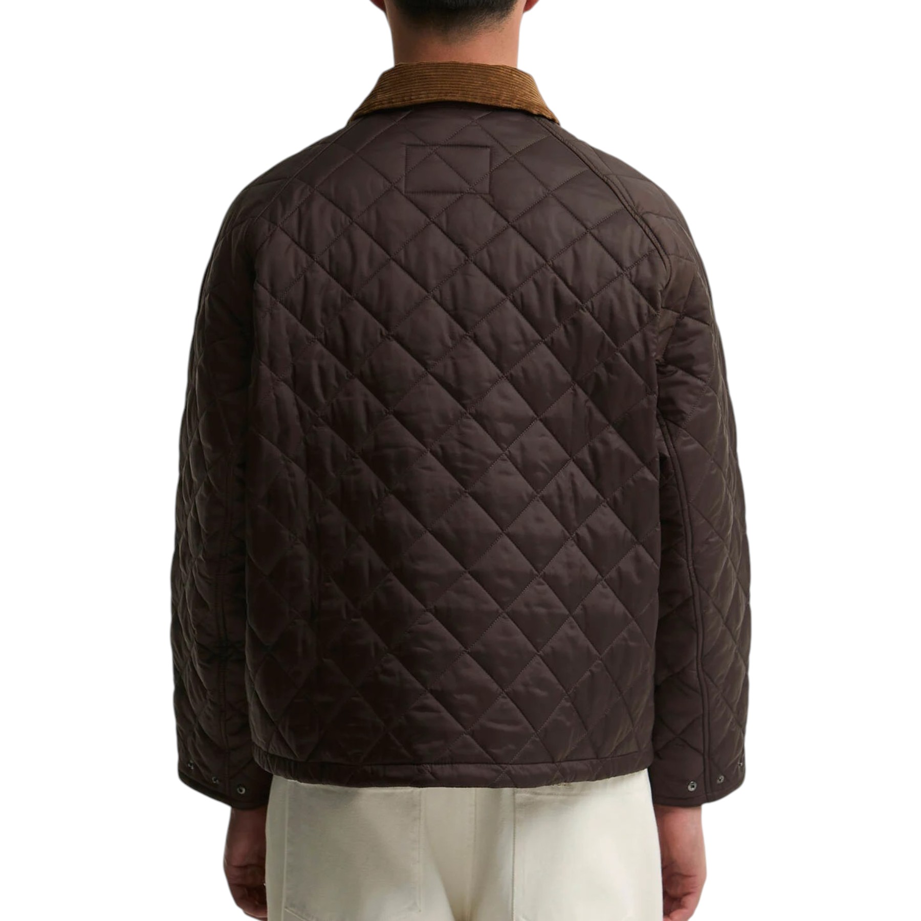 BARBOUR MQU1796