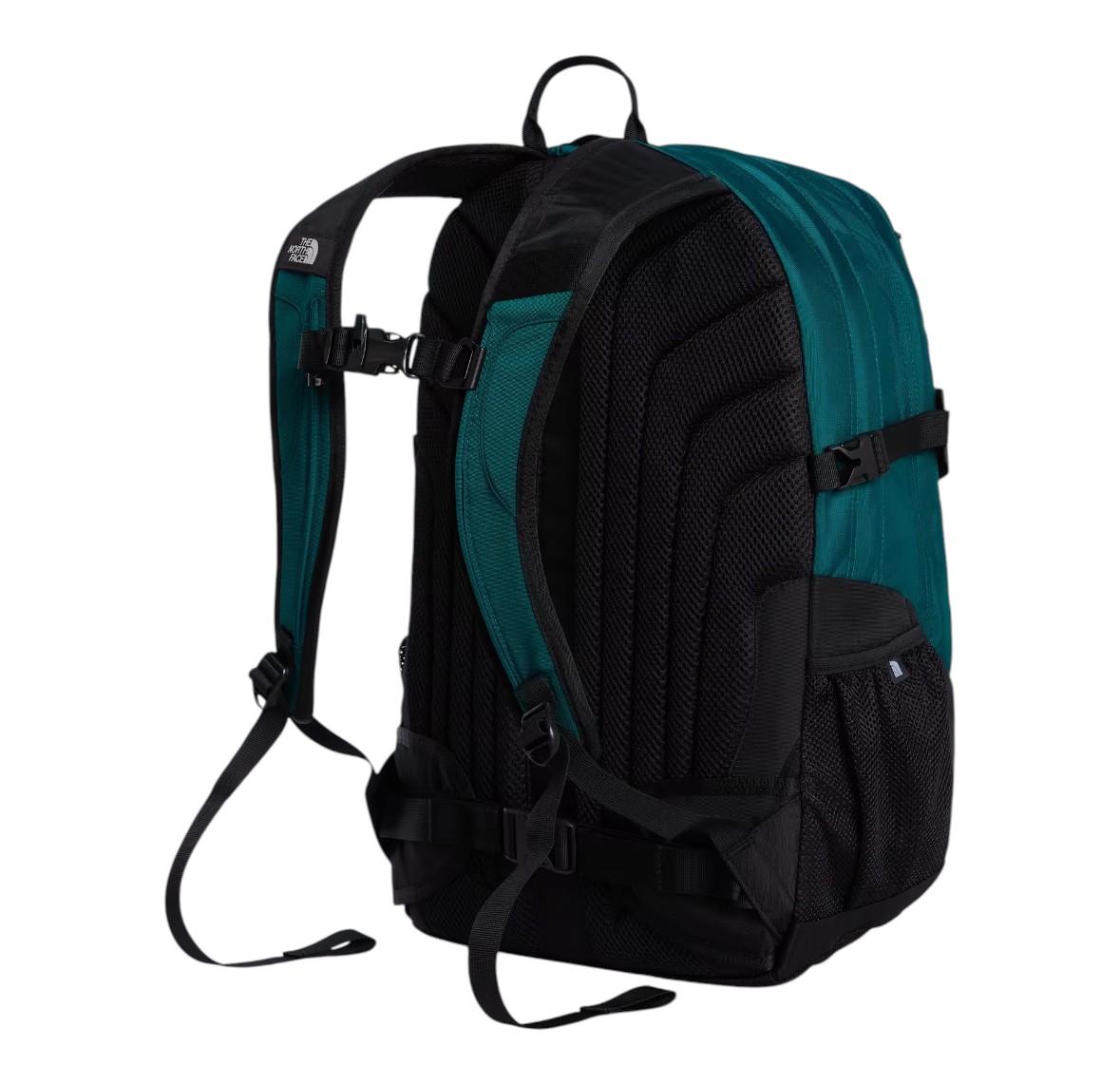 THE NORTH FACE NF00CF9CS7H
