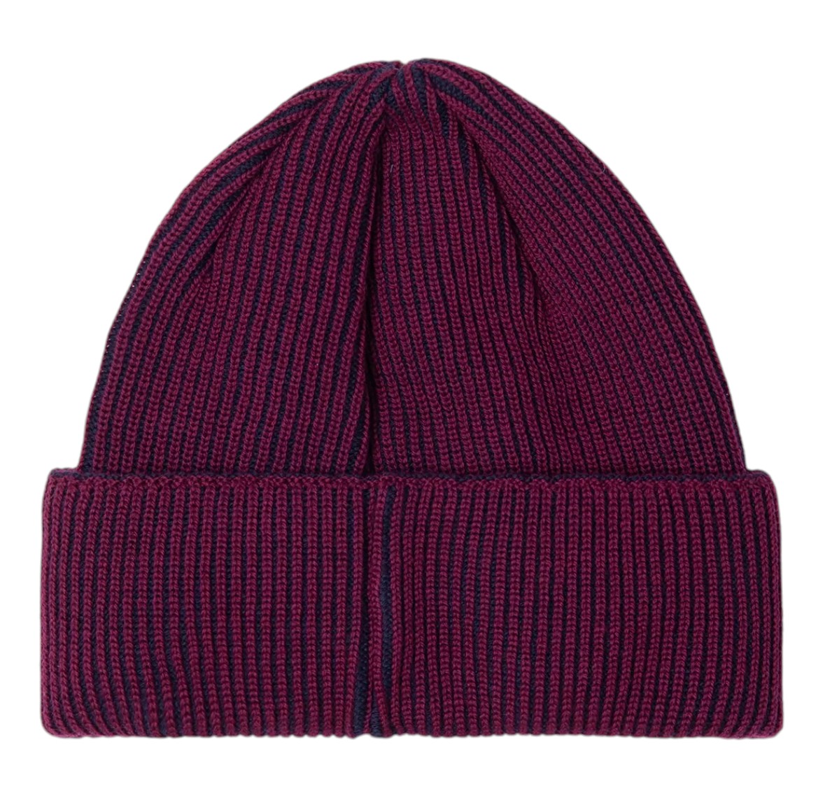 POLAR SKATE CO. BEANIE