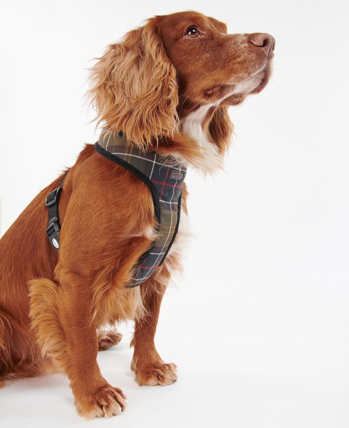 BARBOUR DAC0010