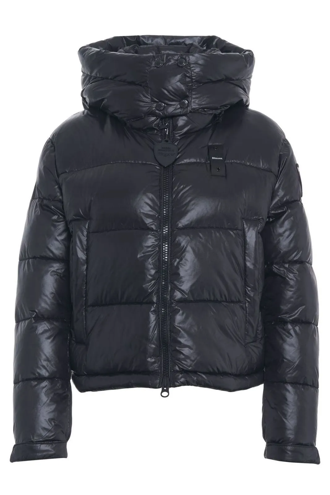 BLAUER 26WBLDC02071 006648