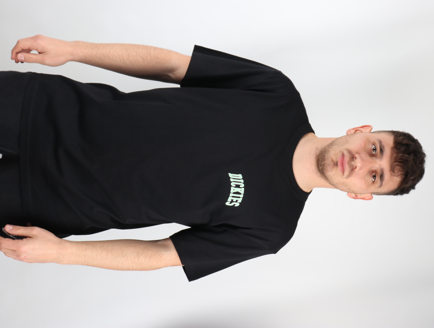 DICKIES