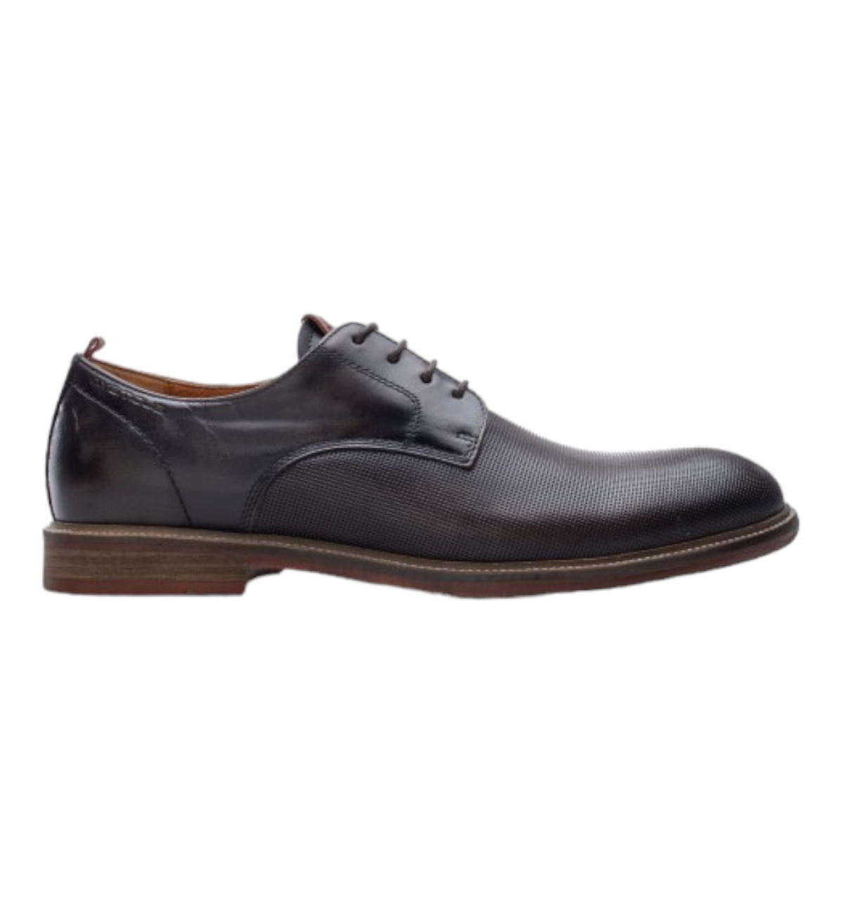 AMBITIOUS SCARPE DERBY