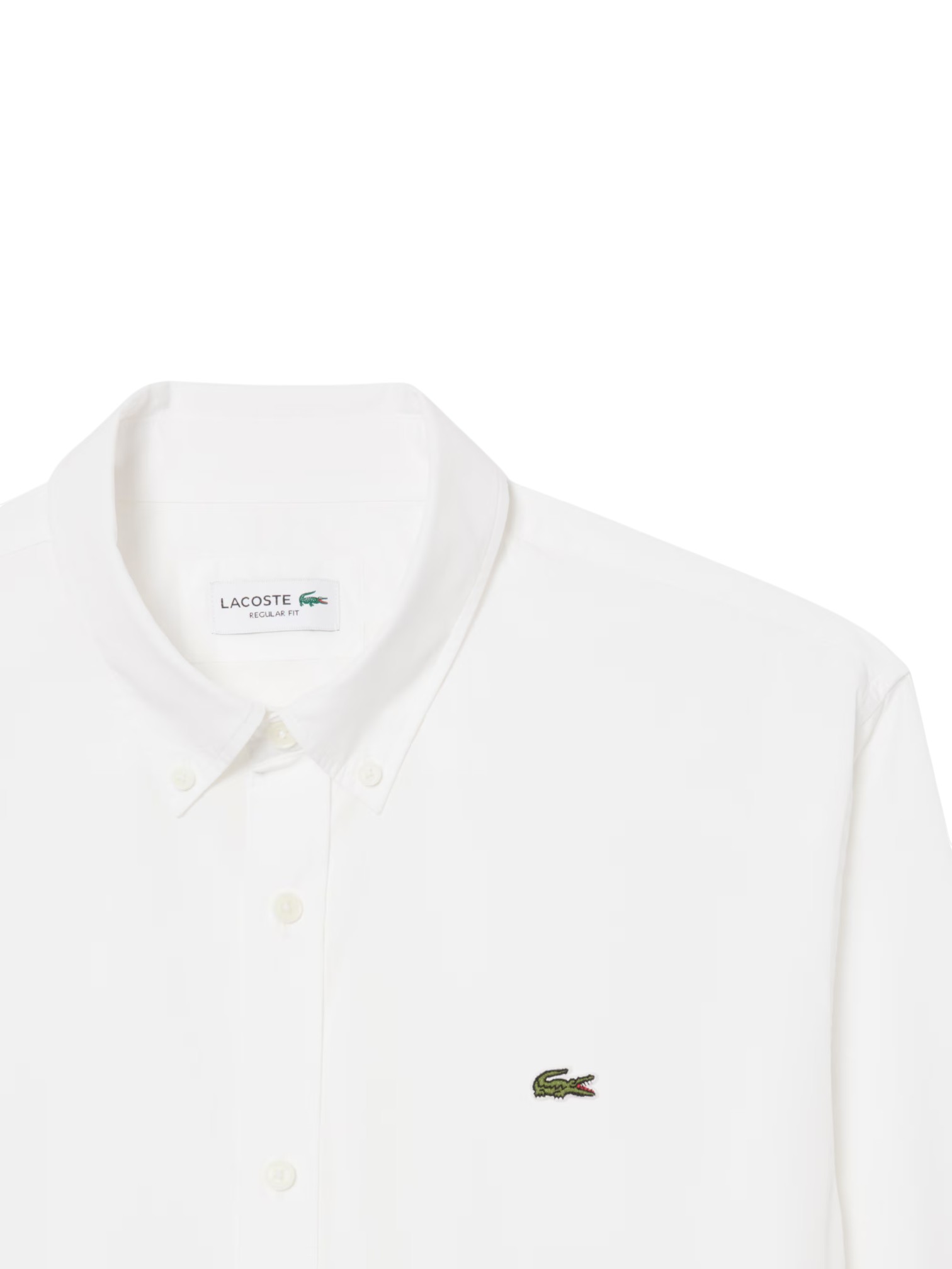 LACOSTE CAMICIA B. DOWN PURO COTONE MANICA LUNGA