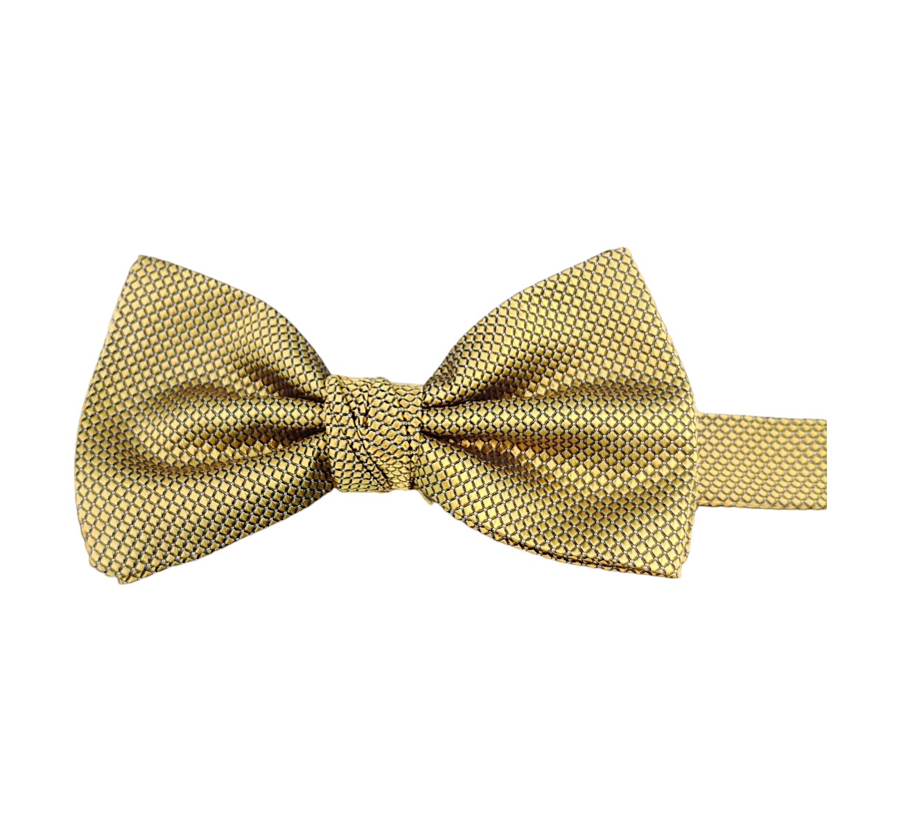 Paolo Da Ponte Papillon Uomo