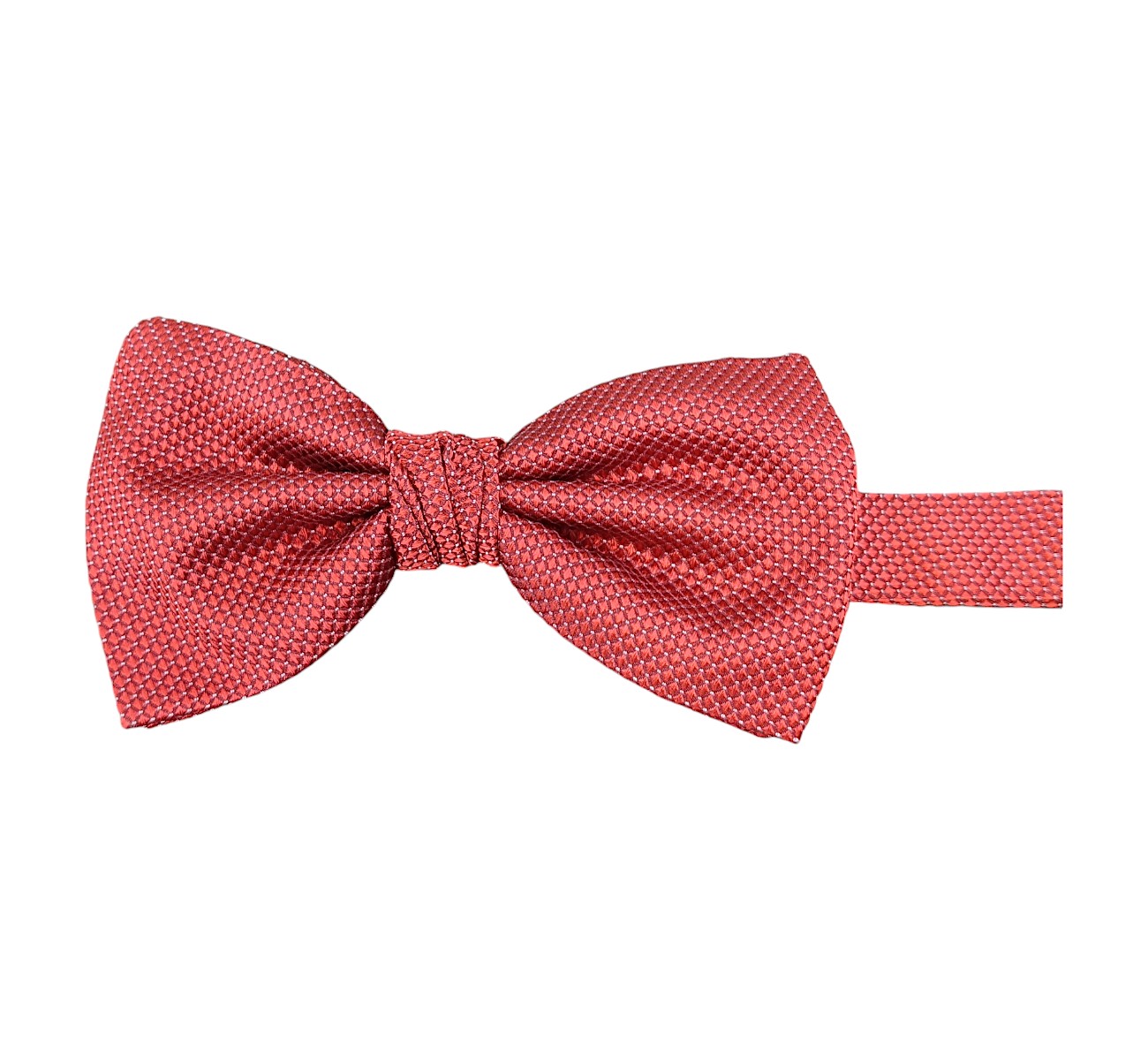 Paolo Da Ponte Papillon Uomo