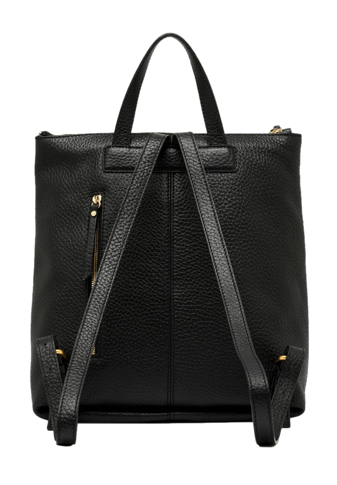 GIANNI CHIARINI ZAINO SANDRA