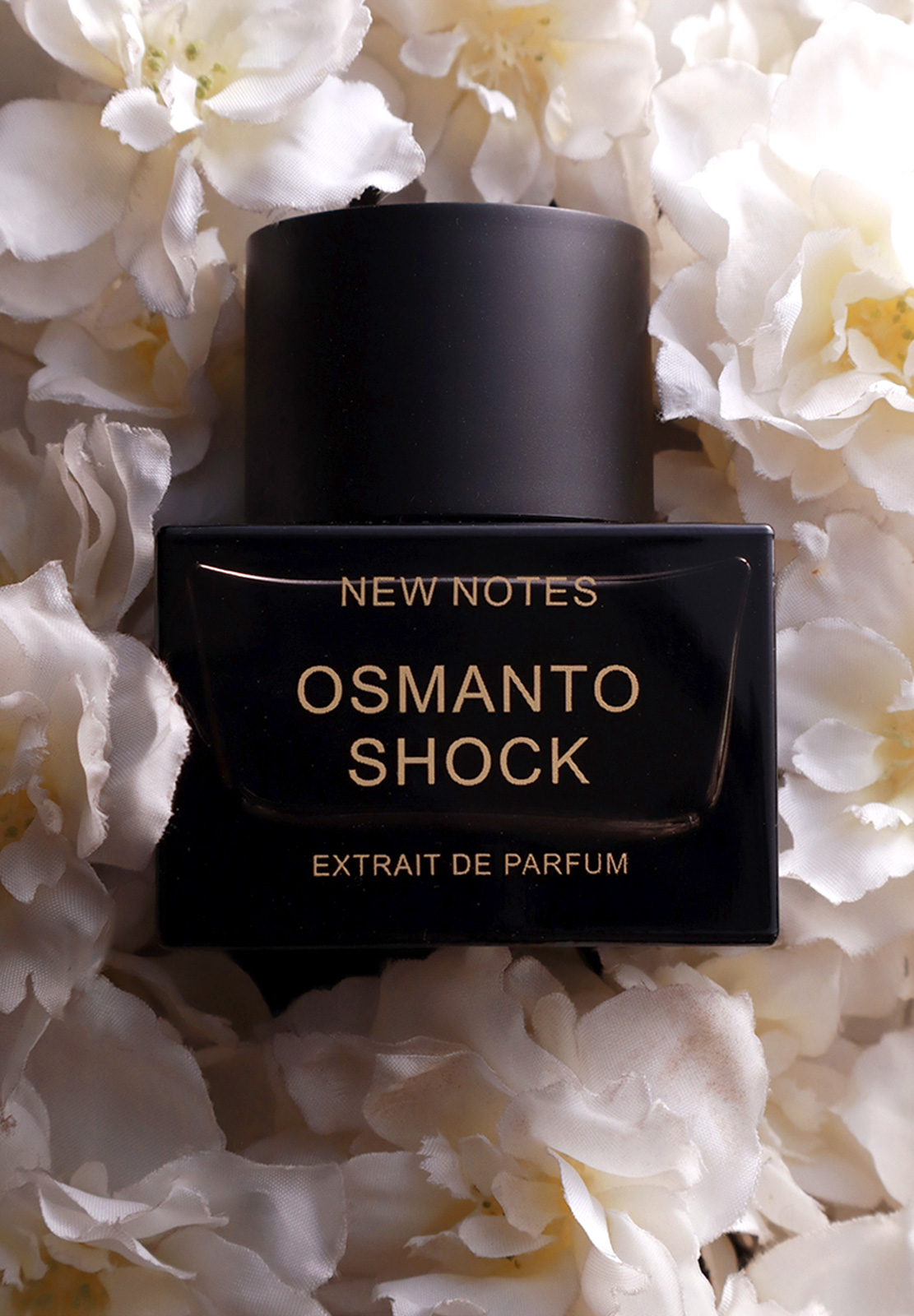 NEW NOTES OSMANTO SHOCK EXTRAIT