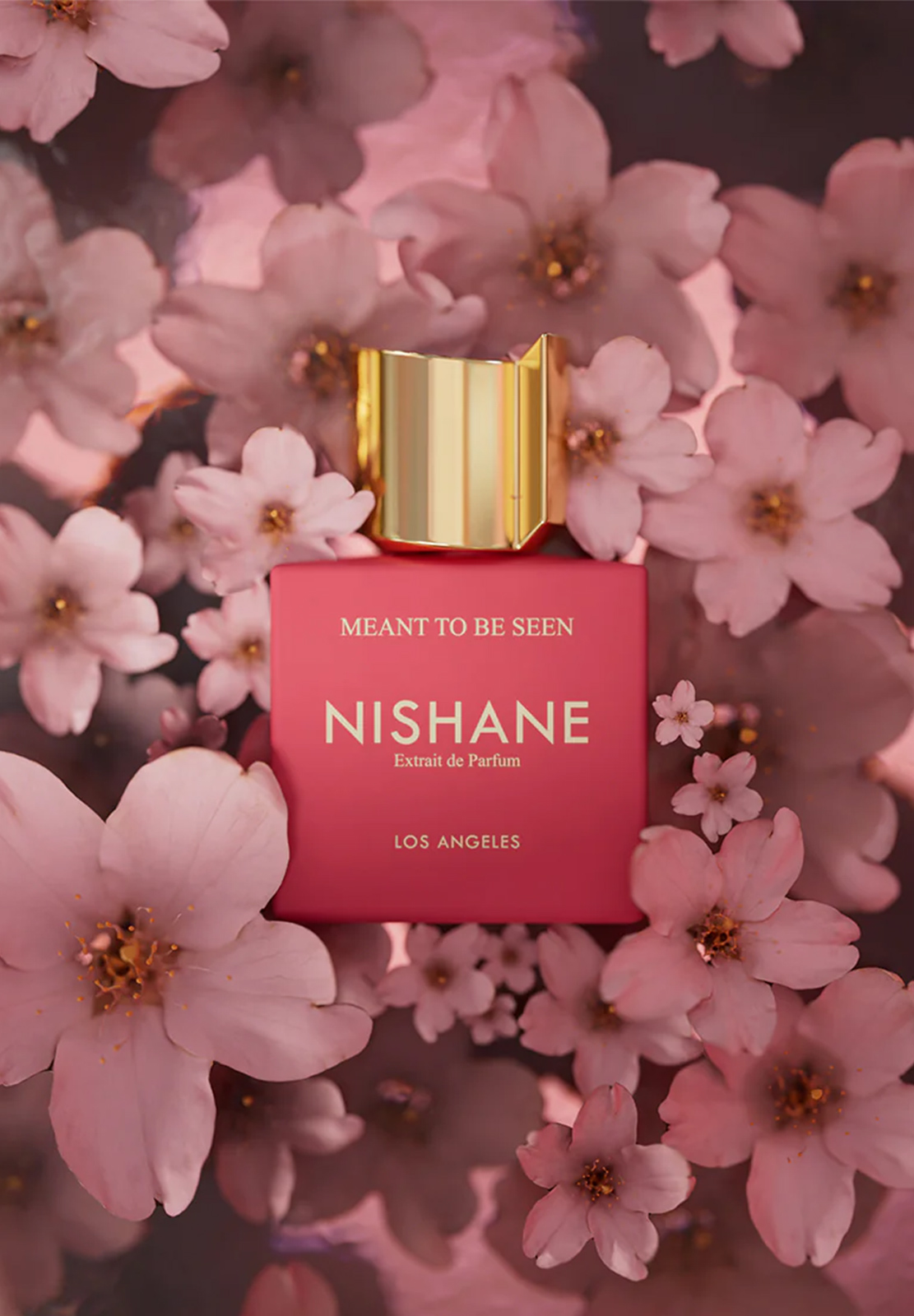NISHANE MEANT TO BE SEEN EXTRAIT
