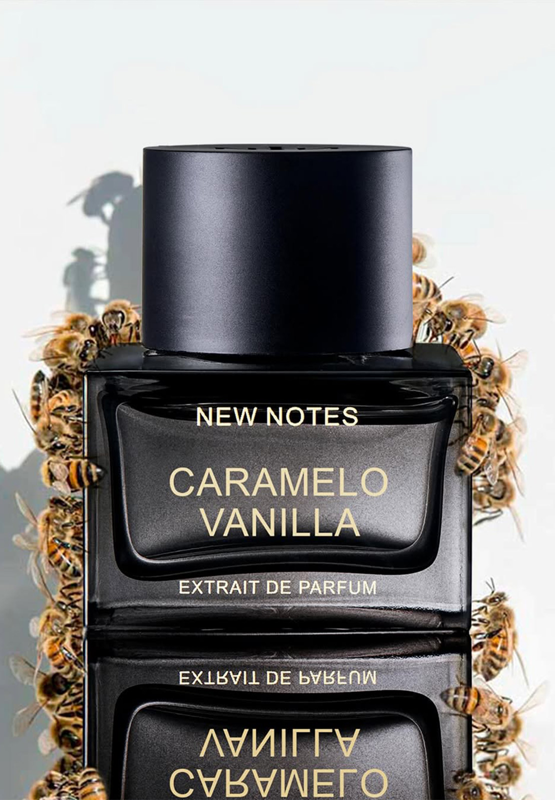 NEW NOTES CARAMELO VANILLA EXTRAIT
