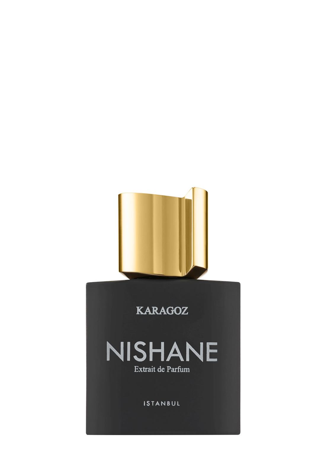 NISHANE KARAGOZ EXTRAIT