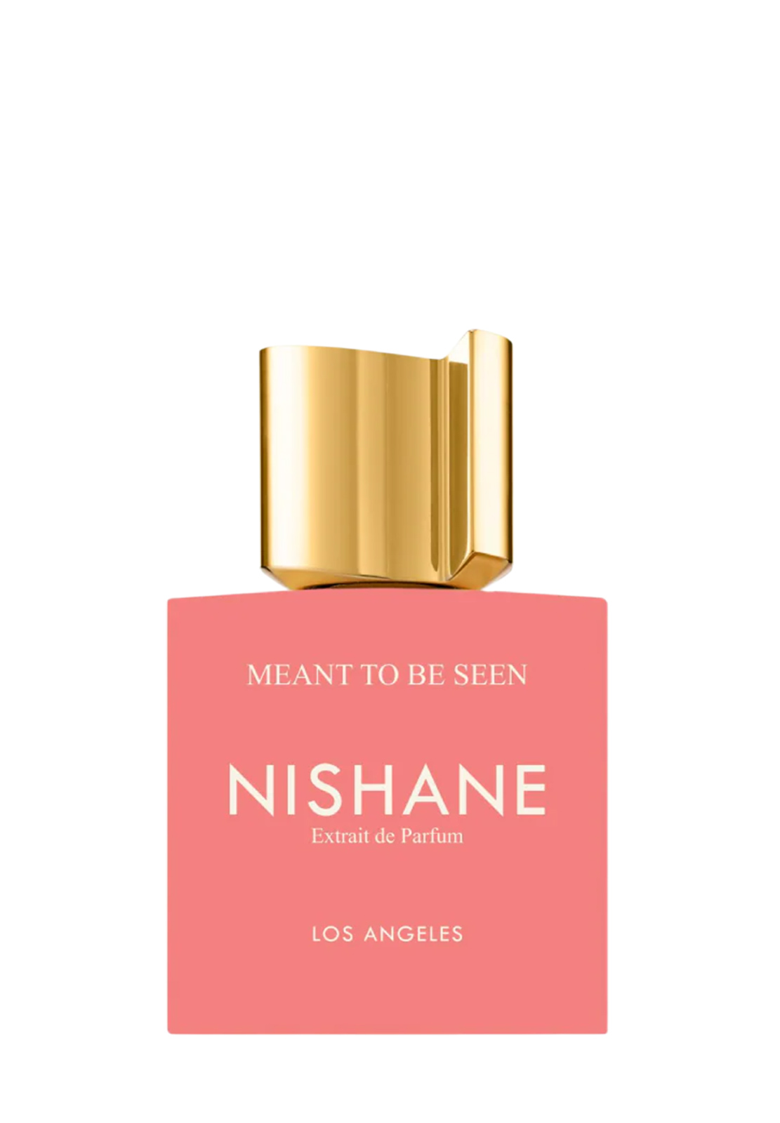 NISHANE MEANT TO BE SEEN EXTRAIT