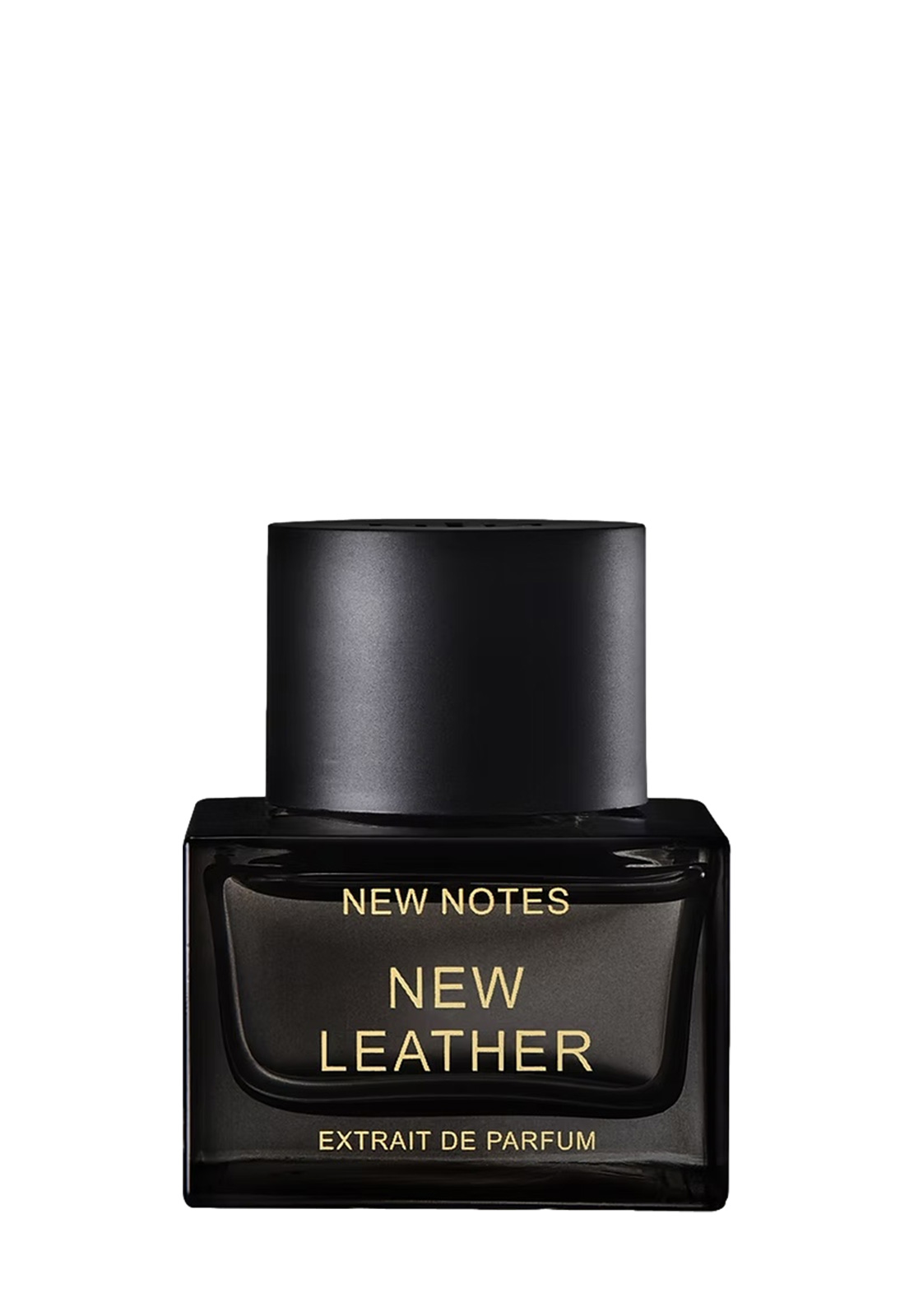 NEW NOTES NEW LEATHER EXTRAIT