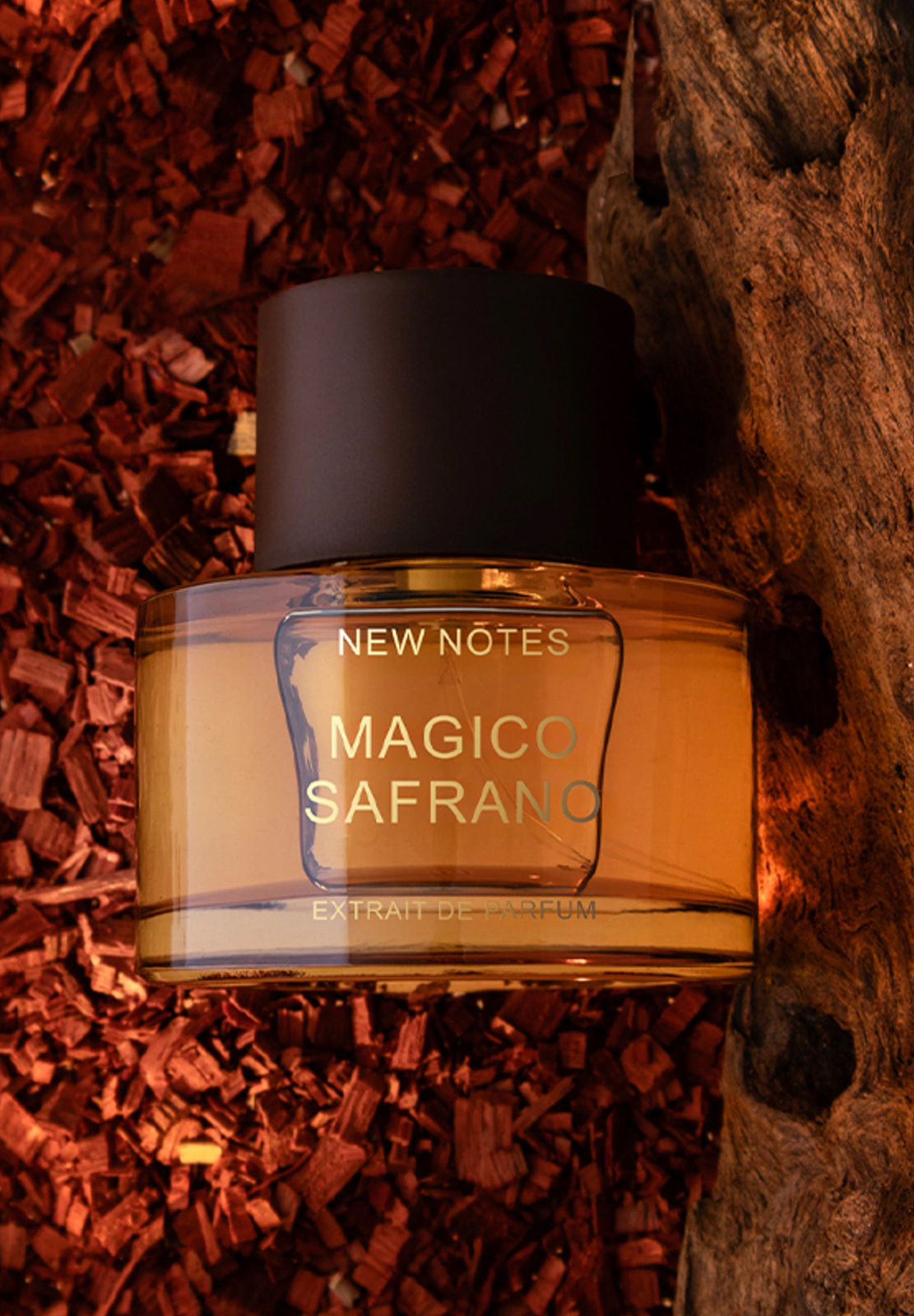 NEW NOTES MAGICO SAFRANO EXTRAIT