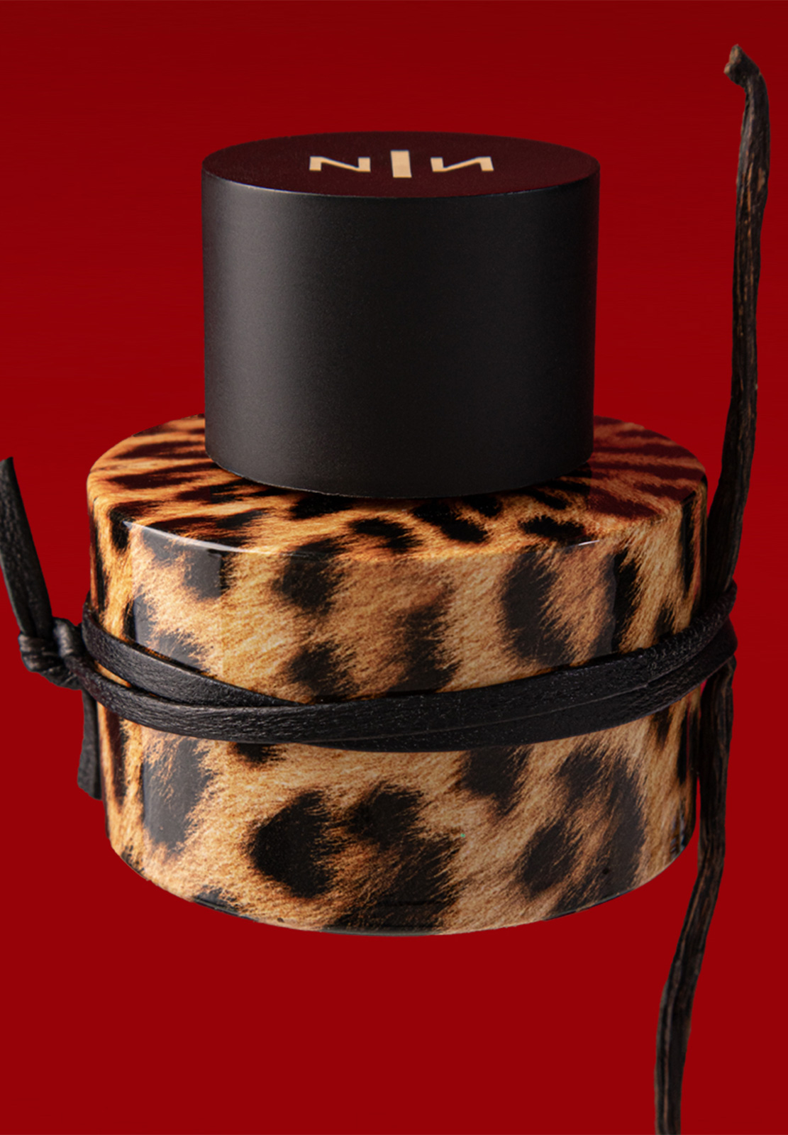 NEW NOTES FELINA EXTRAIT